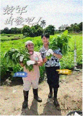 环岛慢综艺 综艺节目推荐
